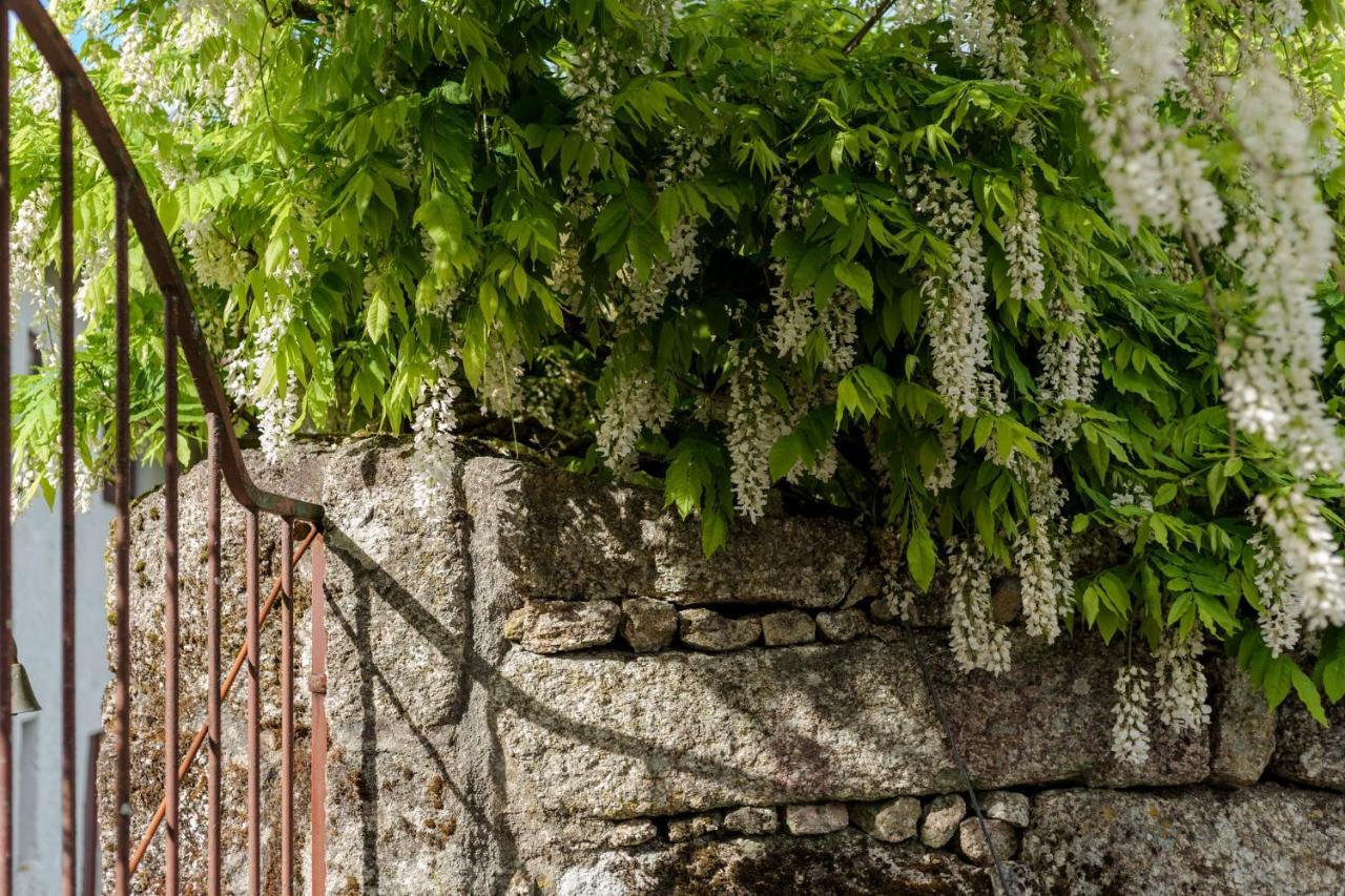 塞洛里库迪巴什图 Casa Lavoura Em Requeixo旅馆 外观 照片